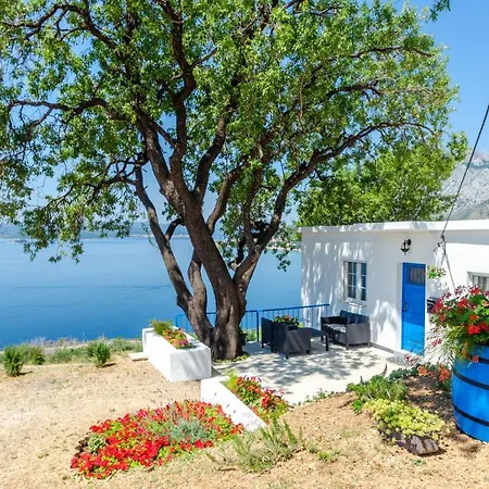 Vacation Deja Blue