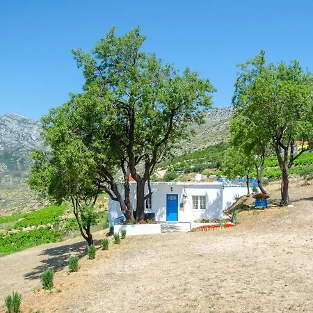 Vacation Deja Blue * Jurjević