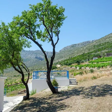 Vacation Deja Blue *