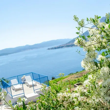 Vacation Deja Blue Jurjević