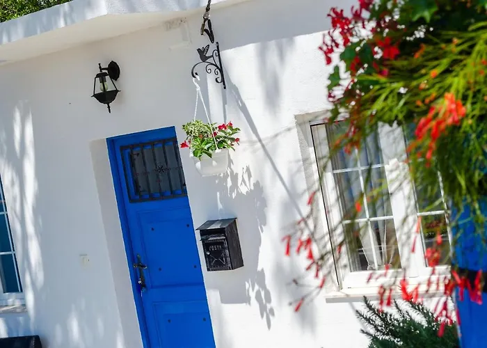 Vacation Deja Blue 펜션